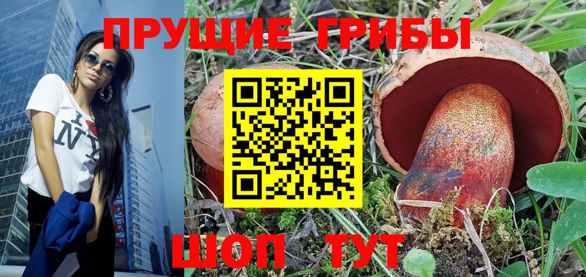 наркота  Екатеринбург  Псилоцибиновые грибы ЛСД 